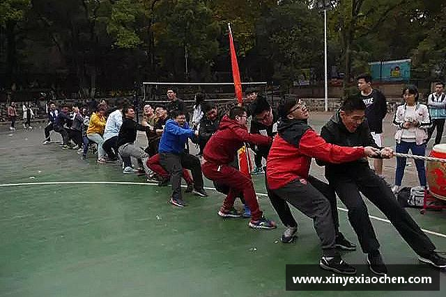 知道体育网